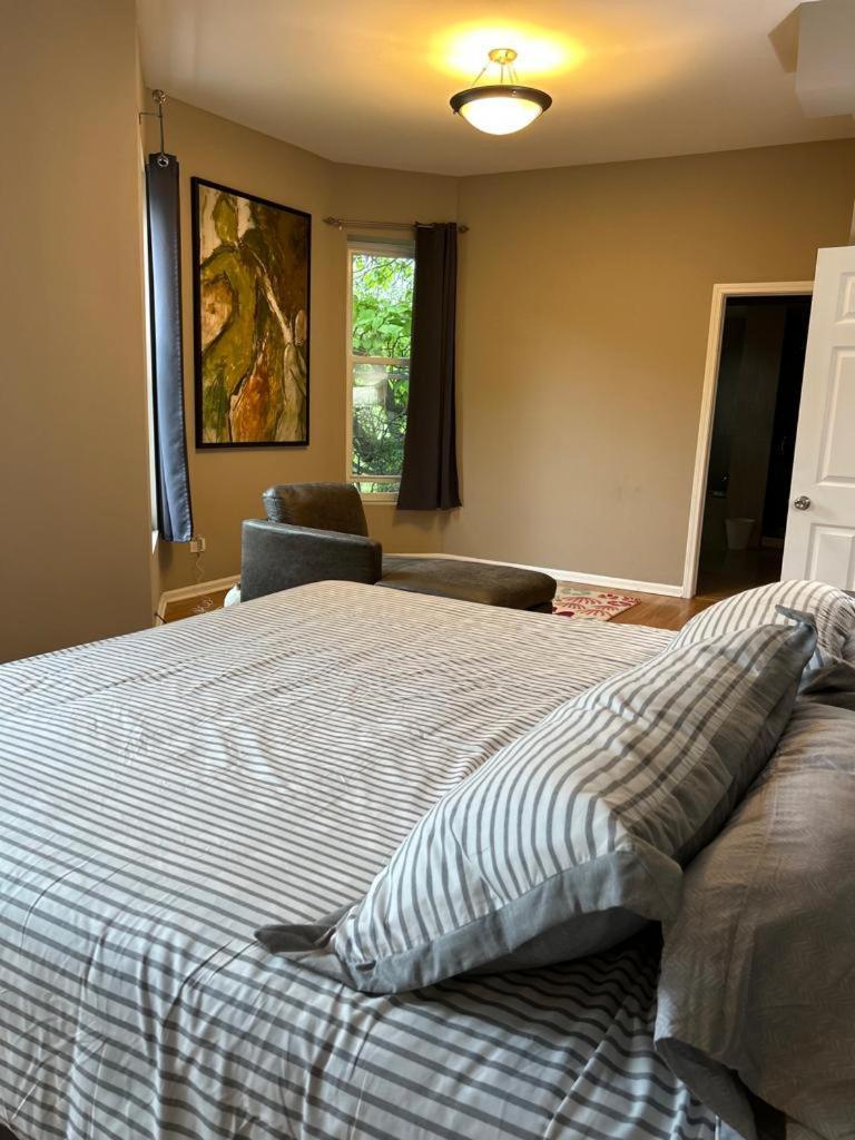 Gorgeous North Kenwood Hyde Park Unit Apartment Chicago Exterior photo